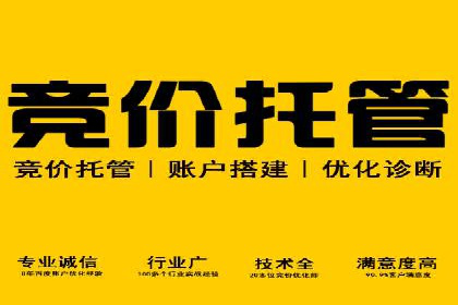 行业标杆的SEM竞价营销案例研究